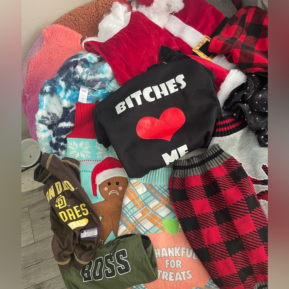 Lot of pet clothes, sizes ranging from S to L
